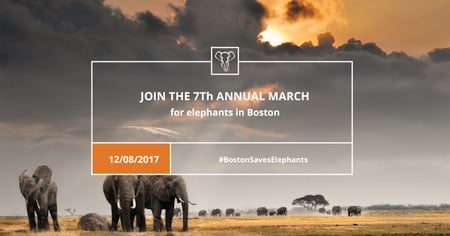 Annual march for Elephants Announcement Facebook AD tervezősablon