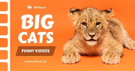 Ontwerpsjabloon van Facebook AD van Wild Animals Videos Promotion