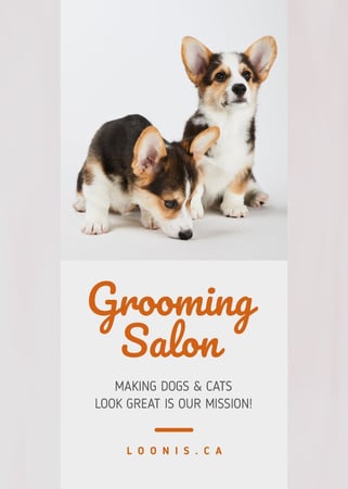 Grooming Salon Ad Cute Corgi Puppies Flayer Design Template