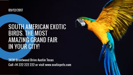 Exotic Birds fair Blue Macaw Parrot Title – шаблон для дизайна