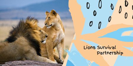 Doğada vahşi aslanlar Twitter Tasarım Şablonu