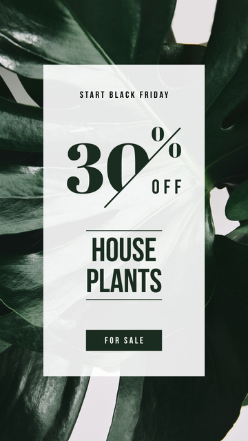 Black Friday Ad Green plant leaves Instagram Story Design Template