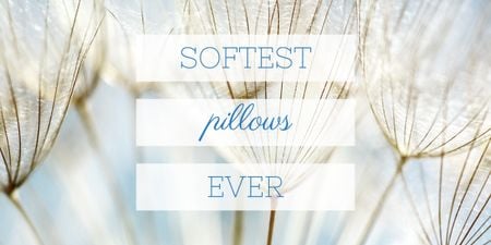Softest Pillows Ad Tender Dandelion Seeds Image Πρότυπο σχεδίασης