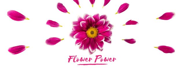 Purple daisy flower with petals Facebook Video cover Design Template