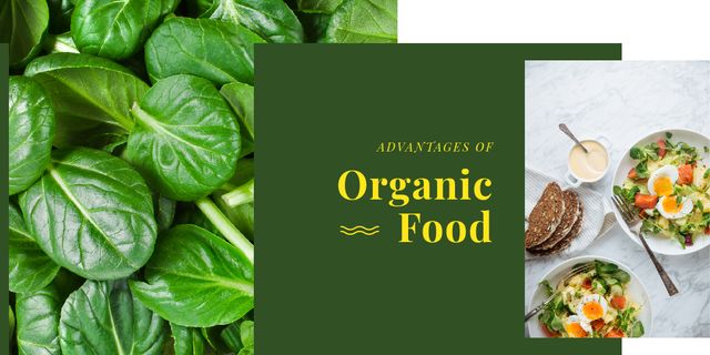 Benefits of Dishes from Organic Food Image Design Template