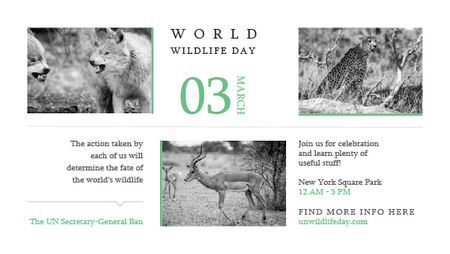 World Wildlife Day Animals in Natural Habitat Title Design Template