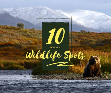 Wild bear in habitat Facebook Design Template