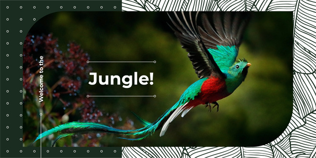 Colorful bird flying in jungle Twitter Design Template
