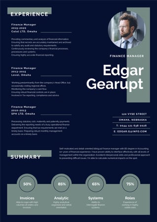 pénzügyi vezető szakmai profil Resume tervezősablon