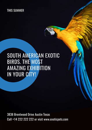 South American exotic birds shop Poster Design Template