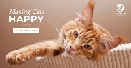 Volunteers for cats Ad with Cute Cat Facebook AD Design Template
