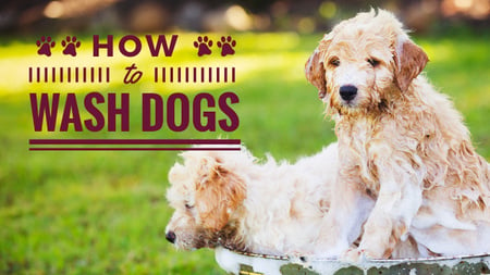 Szablon projektu Washing Dogs Tips Two Cute Puppies in Foam Youtube Thumbnail