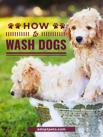 Washing Dog Cute Puppies in Foam Poster US Modelo de Design