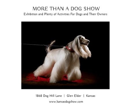 Plantilla de diseño de Exposición canina con actividades para perros y sus dueños Medium Rectangle 