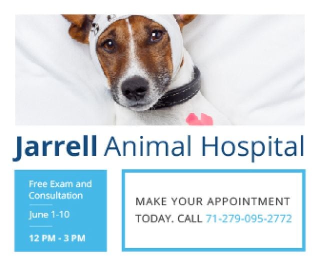 Jarrell Animal Hospital Large Rectangle – шаблон для дизайна