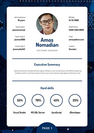 Professional Software Engineer skills and experience Resume Design Template