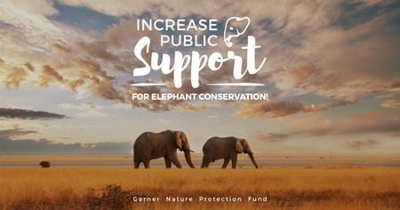 Wild Elephants in Desert Facebook AD Modelo de Design