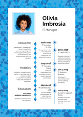 Professional IT Manager profile