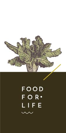 Ontwerpsjabloon van Graphic van Food Ad with cabbage illustration
