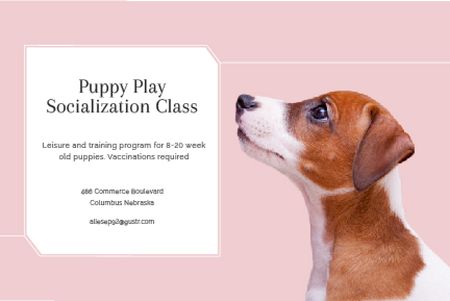Szablon projektu Puppy play socialization class Gift Certificate