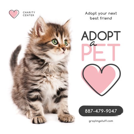 Adoption Center Ad Cute Grey Kitten Instagram AD Design Template