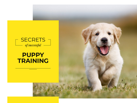 Successful Puppy Training with Dog on Grass Presentation Design Template