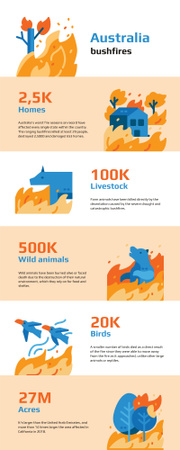 Infografia estatística sobre incêndios florestais na Austrália Infographic Modelo de Design