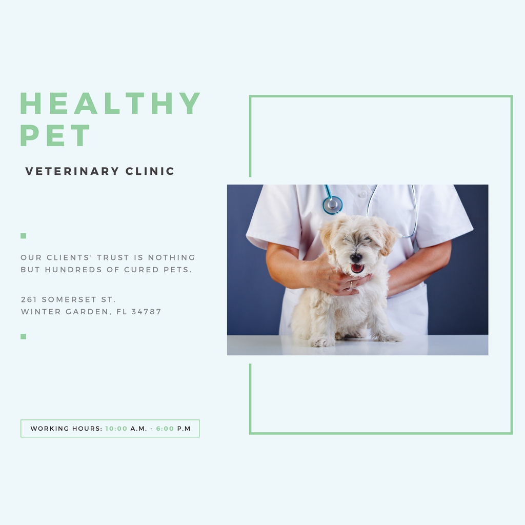 Template di design Veterinarian holding Puppy in Clinic Instagram
