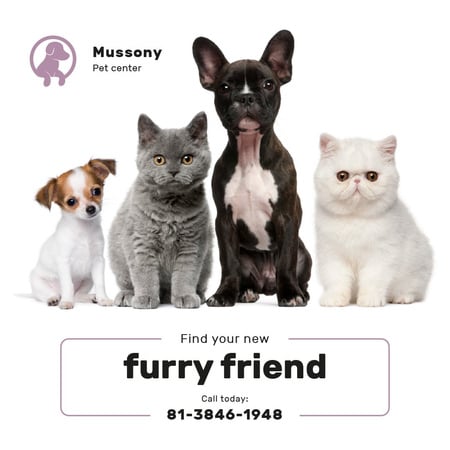 Pet Center Promotion Cute Dogs and Cats Instagram Tasarım Şablonu
