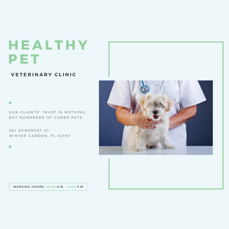 Platilla de diseño Vet Clinic Ad Doctor Holding Dog Instagram AD