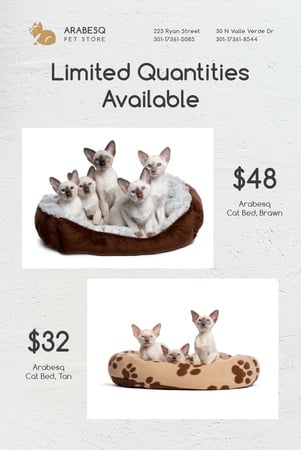 Pet Shop Offer with Cats Resting in Bed Pinterest Design Template