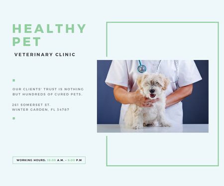 Ontwerpsjabloon van Large Rectangle van Healthy pet veterinary clinic