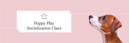 Puppy play socialization class Email header tervezősablon