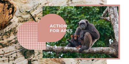 Chimpanzees in Natural Habitat Twitter Design Template
