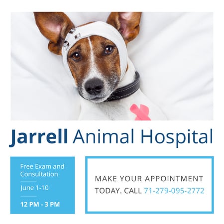 Animal Hospital Ad with Cute injured Dog Instagram ADデザインテンプレート