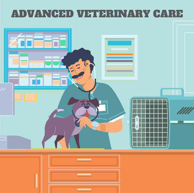 Vet taking care of dog Animated Post Design Template