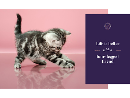 Template di design Pets Inspiration Quote Cute Kitten Playing Presentation