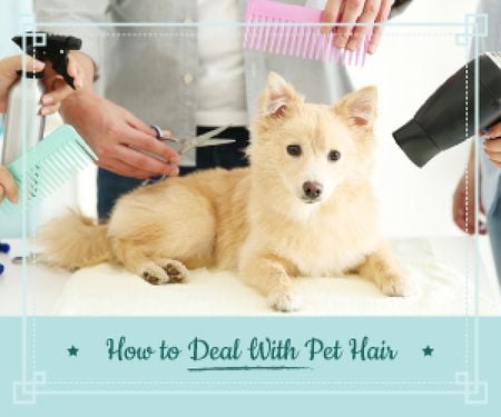 Designvorlage pet hair salon poster für Medium Rectangle
