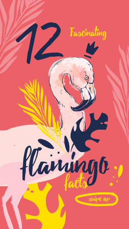 Pink flamingo bird Instagram Story – шаблон для дизайну