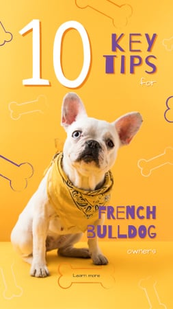 Plantilla de diseño de Cute french bulldog Instagram Story 