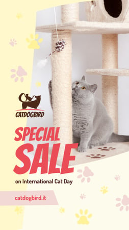 Designvorlage Cat Day Sale Cute Grey Shorthair Cat Playing für Instagram Story