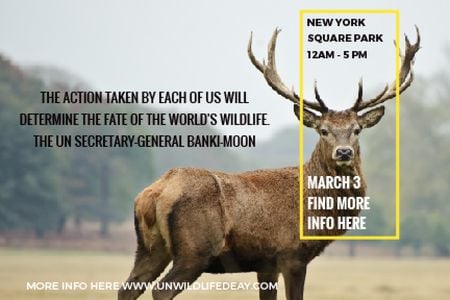 Designvorlage New York Square Park with Deer für Gift Certificate