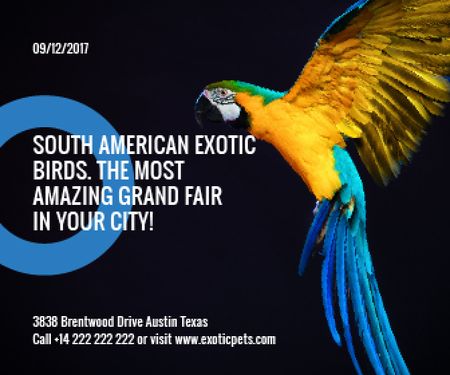 Plantilla de diseño de South American exotic birds fair Large Rectangle 