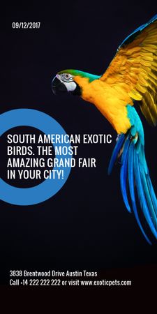 Exotic Birds fair Blue Macaw Parrot Graphic tervezősablon