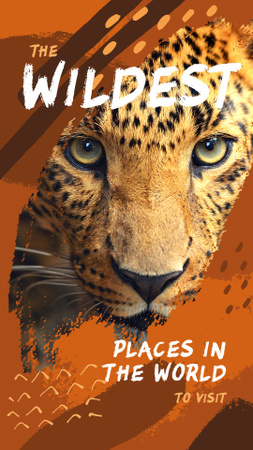 Wild leopard in natural habitat Instagram Story Modelo de Design