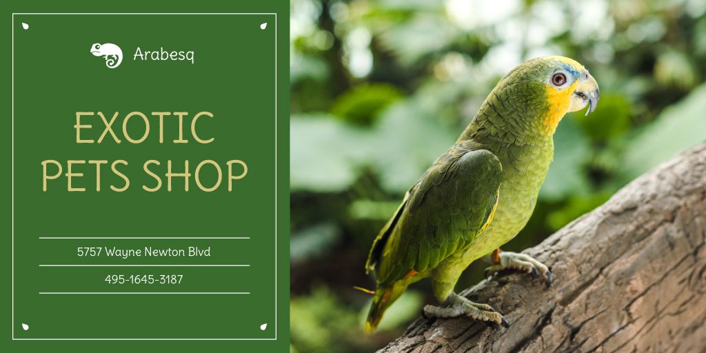 Pet Shop Ad with Cute Green Parrot Twitter Design Template