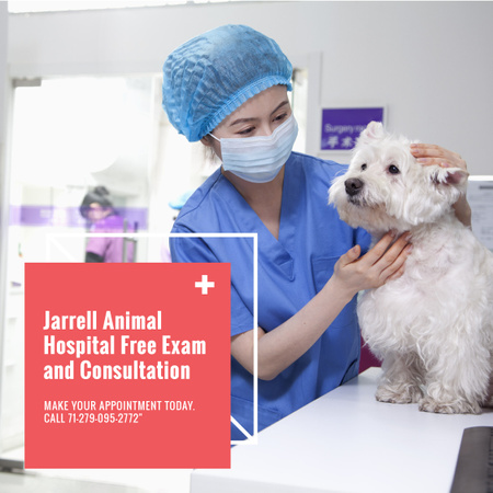 Veterinarian examining Dog in Animal Hospital Instagram Modelo de Design