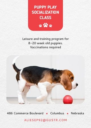 Puppy socialization class with Dog Flayer Design Template