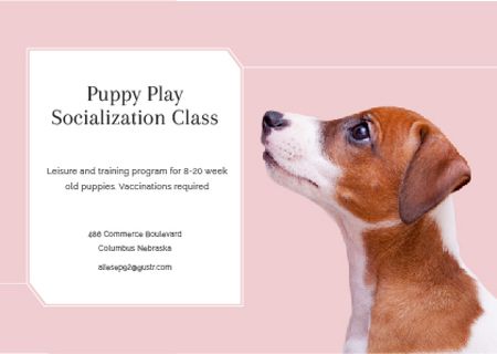 Puppy play socialization class Postcard tervezősablon