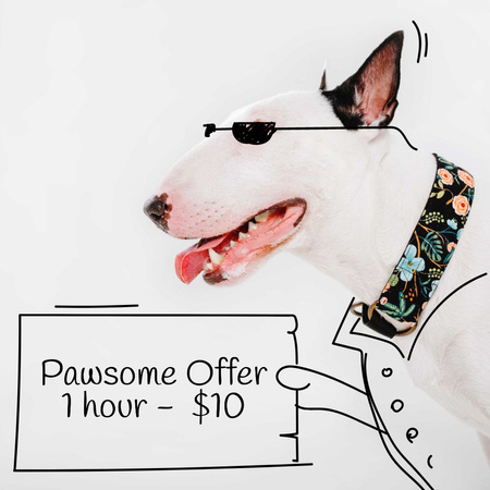Plantilla de diseño de oferta de servicios de paseos para perros con funny bull terrier Instagram AD 